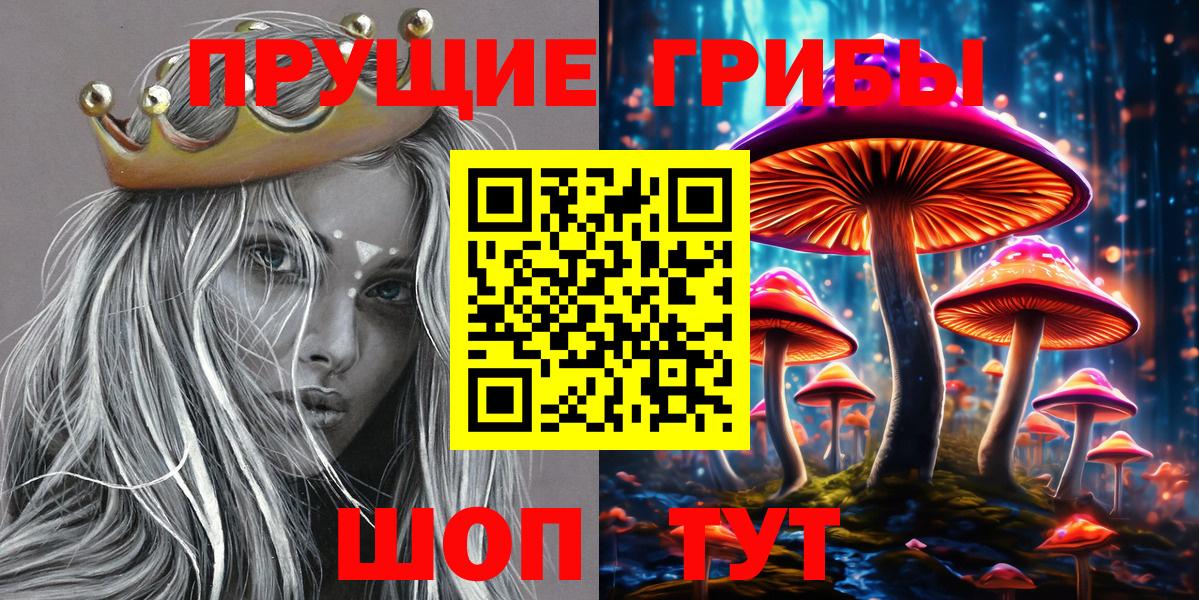 Псилоцибиновые грибы Psilocybine cubensis  Вход с VPN  Гусиноозёрск 